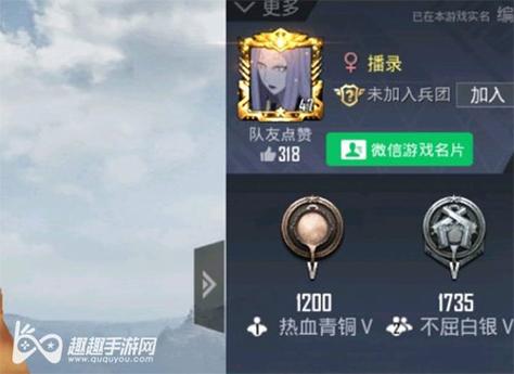 和平精英辅助【三体】